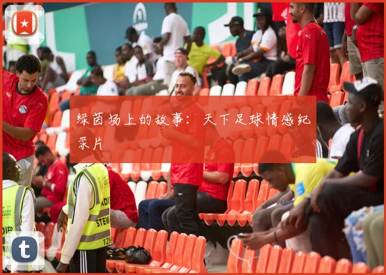 绿茵场上的故事：天下足球情感纪录片