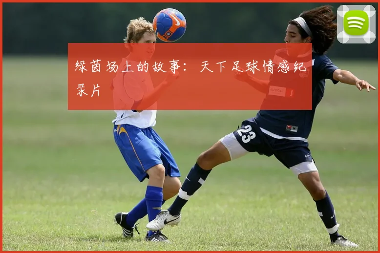 绿茵场上的故事：天下足球情感纪录片